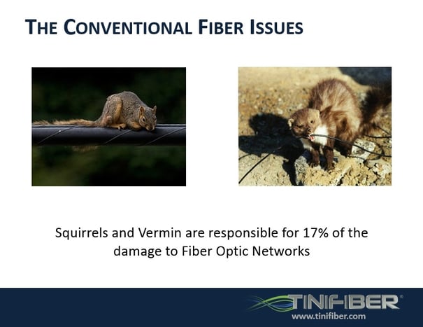 TiniFiber_slide_3